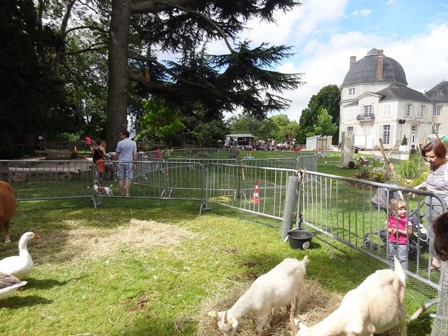 fete 2016 (109).jpg